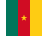 Cameroon Flag