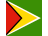 Guyana Flag