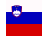 Slovénie Drapeau